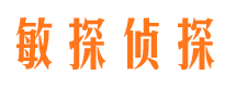 疏勒私家调查公司